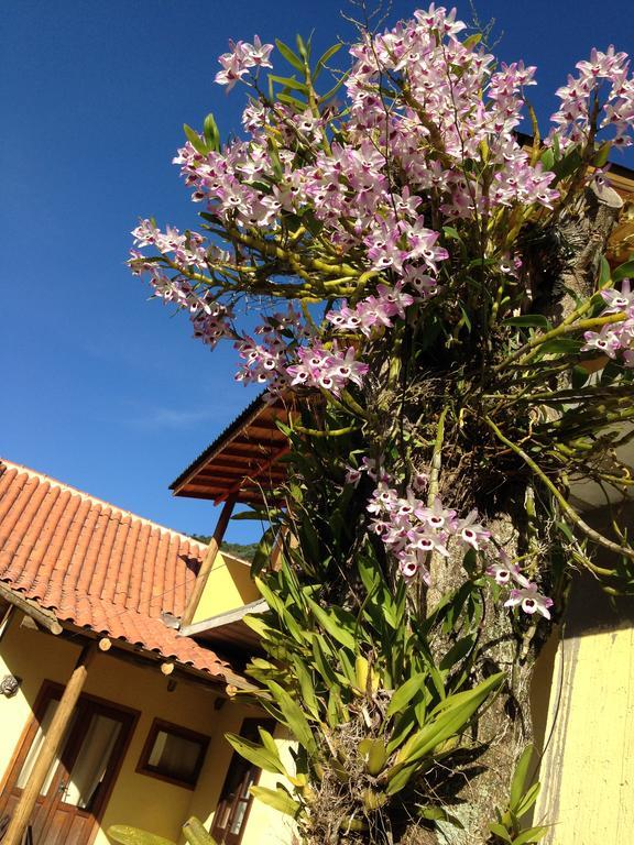 Morada Do Gabriel Hotel Guarda do Embau Exterior photo